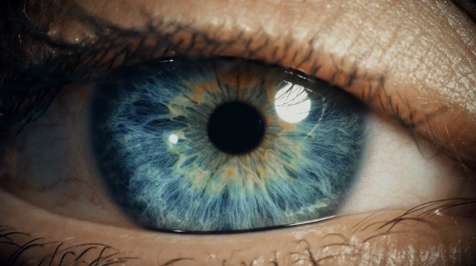 close up image of a blue eye.jpg